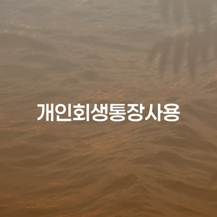 면책금 신용회복 높아진