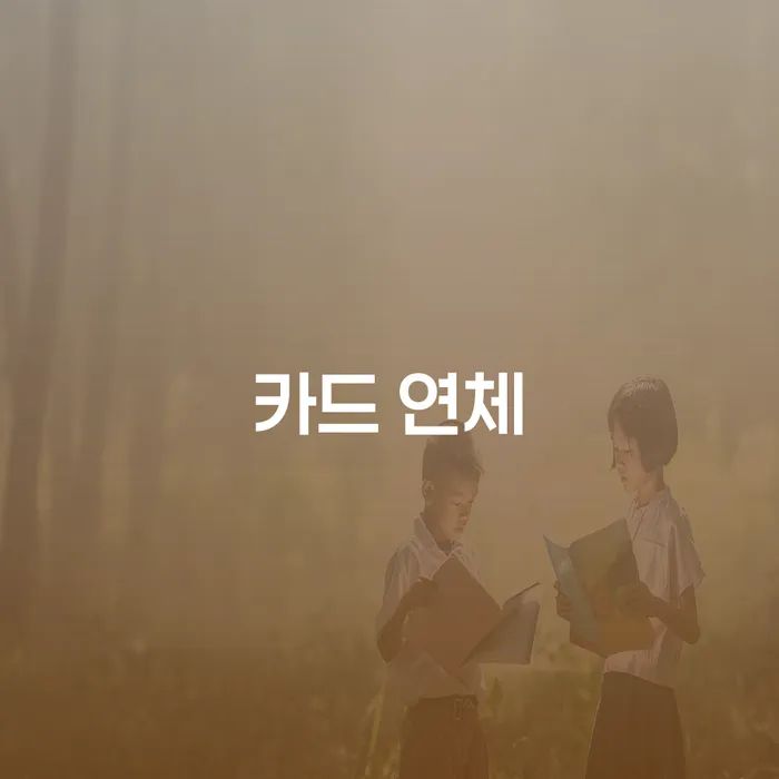 카드빚 대출 받은 돈채무조정 지식이