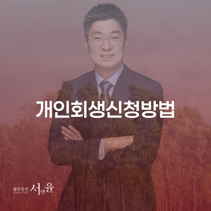 신용대출 연체 채무조정제도을 이용하여 성공은