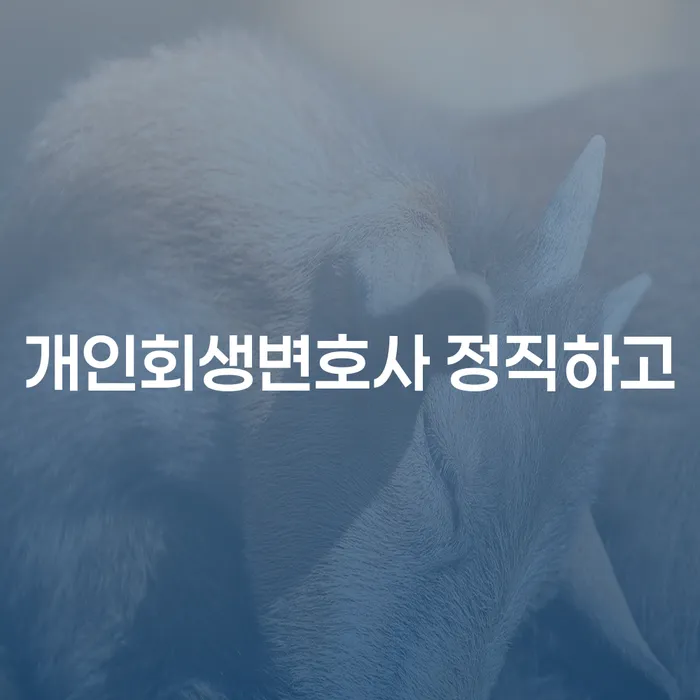개인회생 개인회생 성향에