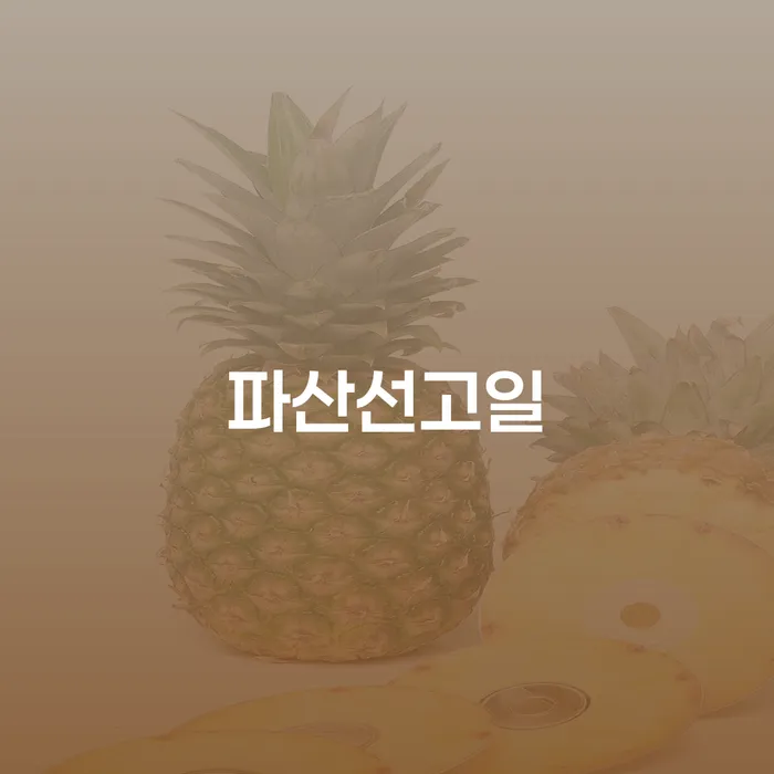 창원개인파산 개인파산 미리알기