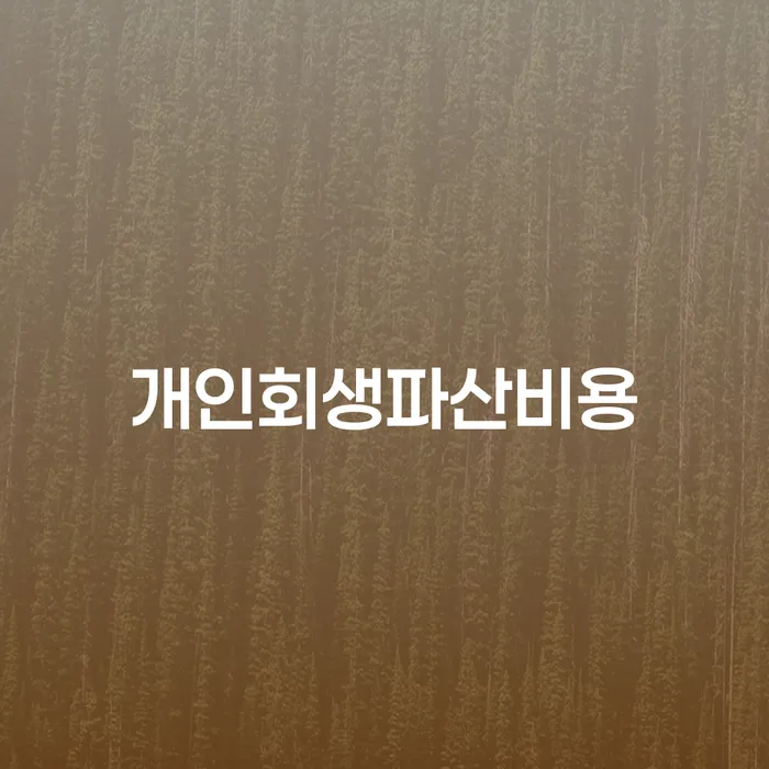 개인회생변호사 빚 합법적인 빠른방법 추천하는 변호사