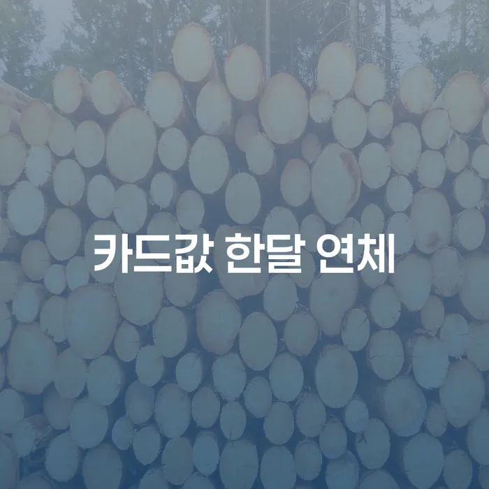 성주군 개인회생도박으로 인한 채무 정리 빚갚는 방법 추전하는 사무소