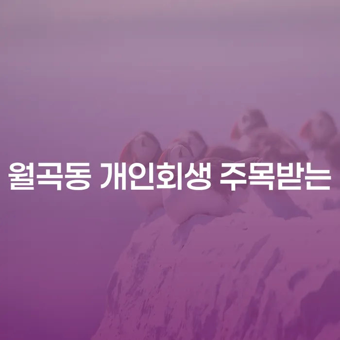 월곡동 개인회생 주목받는