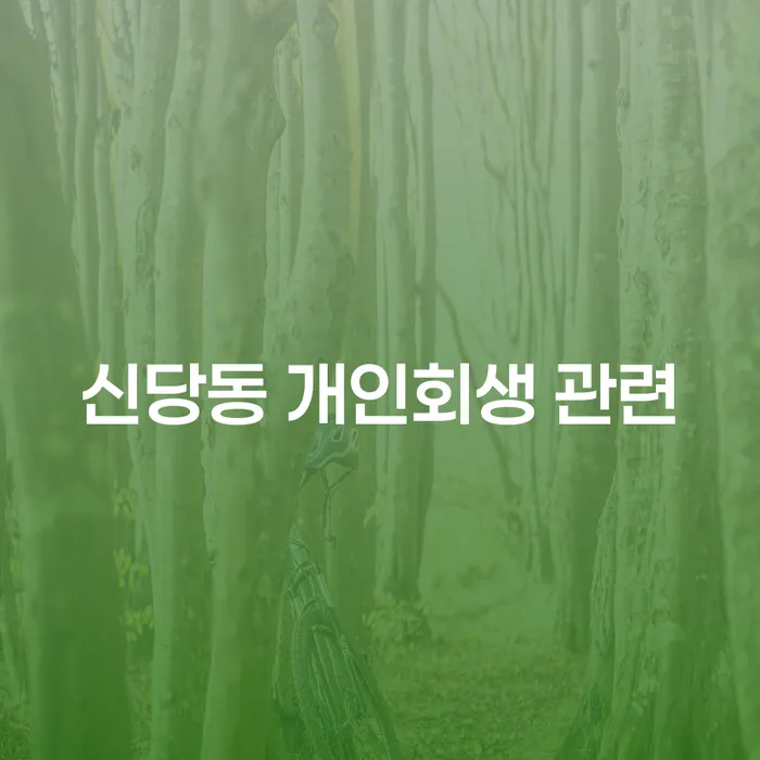 신당동 개인회생 관련