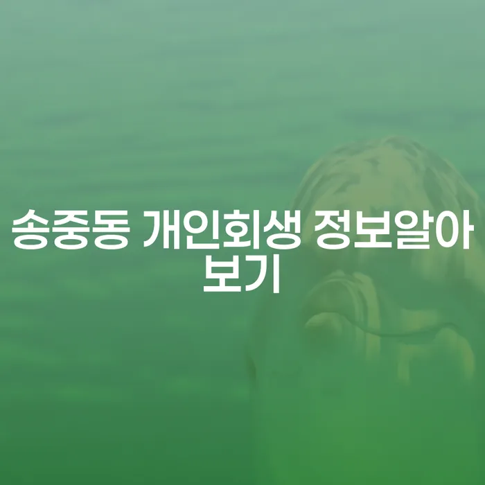 송중동 개인회생 정보알아보기