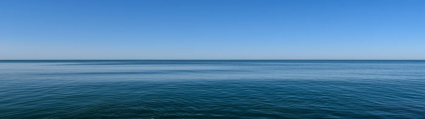 법무법인 서앤율