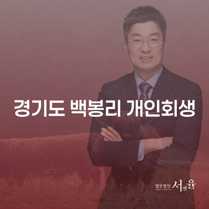 경기도 백봉리 개인회생, 어떻게 해야 할까요?